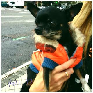 Instamoments - Octubre