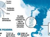 playa está cerrada!!!