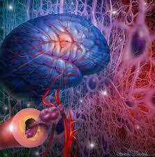Nuevo farmaco ayuda al crecimiento de Celulas Cerebrales