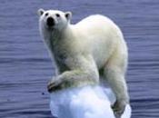 guste planeta caliente