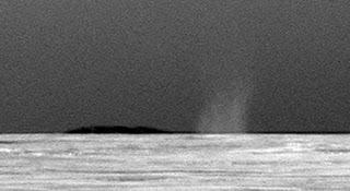 Imagen del primer remolino de polvo captado por Opportunity