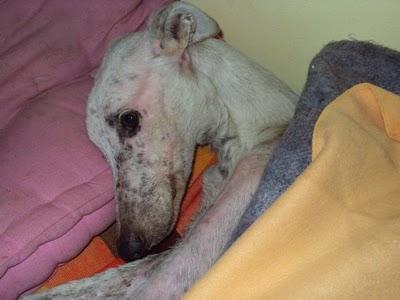 Jonás evoluciona lentamente...