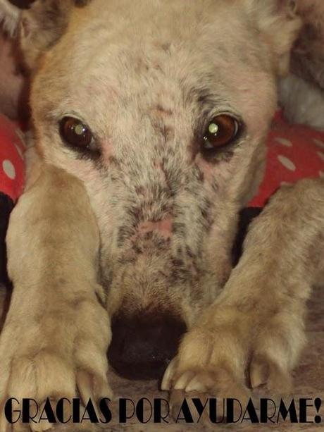 Jonás evoluciona lentamente...