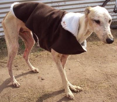 Jonás evoluciona lentamente...