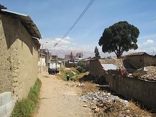 CONEA 2010