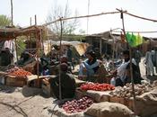 Crónicas afganas: Cuando niña negocio