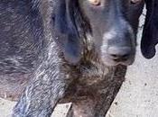 Preciosidad calle Talavera, Toledo. URGENTE