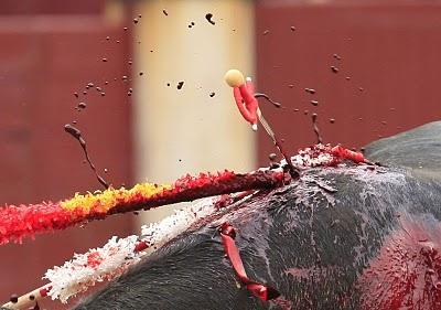 Toros, no. Se acabó la 