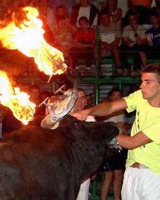 Toros, no. Se acabó la 