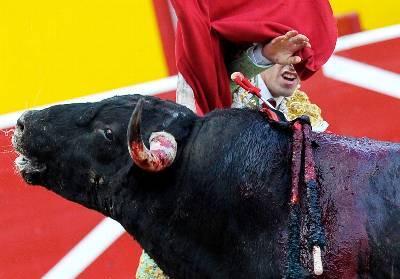 Toros, no. Se acabó la 