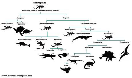 El Origen de los dinosaurios El Origen de los dinosaurios