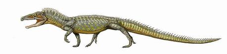 El Origen de los dinosaurios El Origen de los dinosaurios