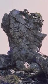 Desiertos, desolados