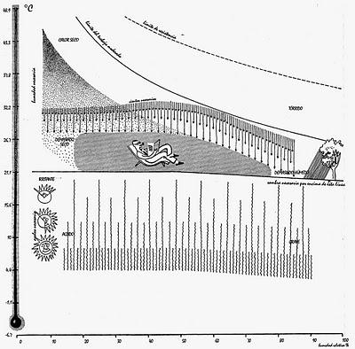 UNA CRÍTICA A LA NORMATIVA DE LA CONSTRUCCIÓN