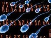 Nuevo Metodo Fecundacion Vitro