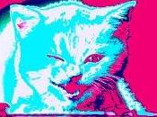 Error animal