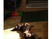 Sube temperatura=golpe calor