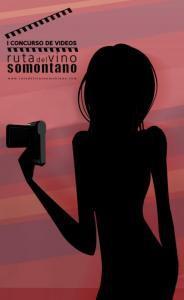 Concurso de Videos durante el Festival Vino Somontano