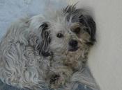 Punky, abandonado rincón, Cordoba.