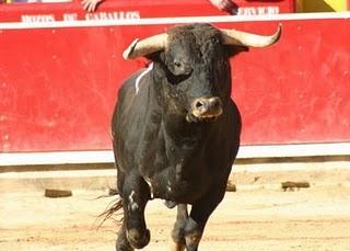 Los Toros