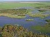 extenderá Reserva Biosfera Doñana todo Espacio Natural