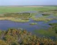 Se extenderá la Reserva de la Biosfera de Doñana a todo el Espacio Natural