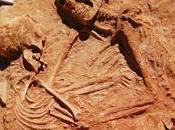 amantes Isla (Seis años abrazados)