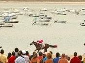 Caballos, arena, Levante, chocos
