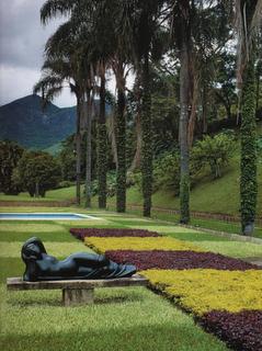 Burle Marx, el pionero de la flora brasileña