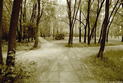 63. A VECES EL CAMINO SE HACE LARGO Y DIFÍCIL