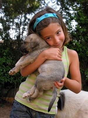 REGALO PERROS CON CORAZÓN !!