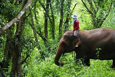 Humedad y cuestas arriba en Chiang Mai