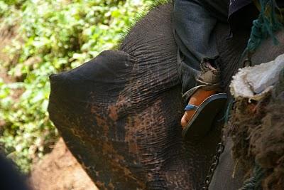 Humedad y cuestas arriba en Chiang Mai
