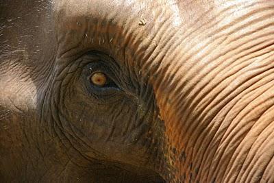 Humedad y cuestas arriba en Chiang Mai