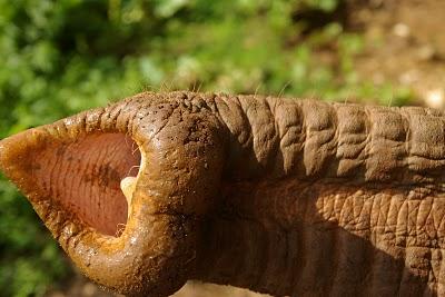 Humedad y cuestas arriba en Chiang Mai