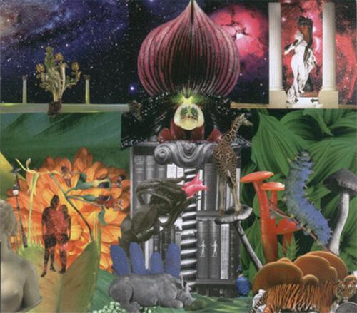 Can You Feel It? (The Apples in Stereo)