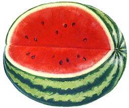 Alimentos del verano