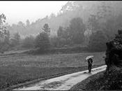 Romanticismos: seares