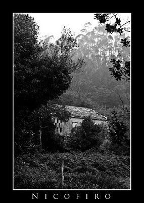 ROMANTICISMOS: SEARES