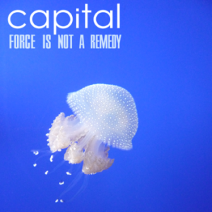 Capital – Force Is Not a Remedy