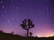 Disfruta noche Perseidas