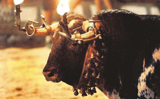 El 'bou embolat', la fiesta catalana