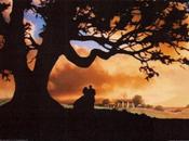 Recomendaciones CINÉfagas: Jungla Cristal” viento llevó”