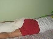 imagen vale palabras