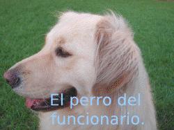 PARA COMBATIR ESTOS CALORES...