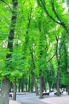 Belgrado: Historias, calles, anecdotas