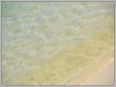 Reflexiones sobre las evaluaciones de MIRes