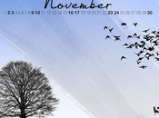 Llega Noviembre Cuenta regresiva, acaba