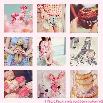 Pack Icons+11 seguidores+Outfit