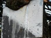 INSTANTÁNEAS NATURAL. Caprichos Naturales:”Sujetando señal”. noviembre 2013